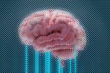 3 Signs of Brain rot