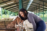 person caring for animal