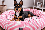Cute-Dog-Beds-1