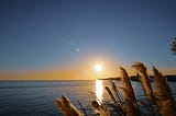 Answers Often Whisper Through The Echoes Of Nature’s Wisdom