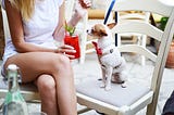 7 Tips That Will Save You Money When Mixing Cocktails at Home