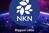 NKN and the DePIN Summer