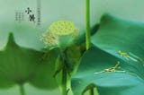 软件架构设计的核心：抽象与模型、“战略编程”
