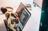 Vibe Coding Your MVP