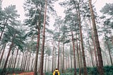 What I Learned from Visiting Maine