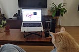 Imagen de una computadora con la FemIT Conf en vivo, en el living de una casa, con un gato y un mate al costado.