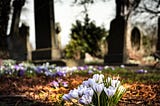 Flowers at a grave — the importance of legacy and eulogy values