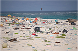 7 Ways Canadians Can Reduce Ocean Plastic Today