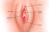 Boy Was Drawing Vagina……The Reason Shocked Me…