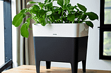 Self-Watering-Planters-1