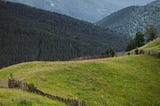 A hillscape with different elements, such as some hills are grassy and some are with trees.