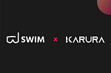 Swim Launches Metapool on Karura’s EVM+, Enabling Native Stablecoin Swaps via Wormhole