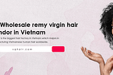 Top 3 highly rated Wholesale Human Hair Distributors in Viet Nam