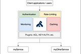 Multi-tenancy authentication through Kong API Gateway