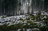 Not the snow they show in movies