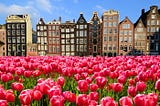 Tulipomania: The Dutch Tulip Crisis of the 17th Century