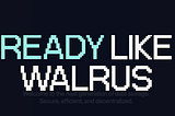 How to deploy a website on Walrus Sites