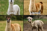 Llama 4: Meta’s AI Revolution or Just Another Overhyped Illusion?