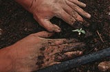 Laravel Seeders: 6 Common Problems and How to Solve Them?