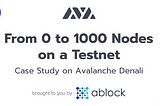 From 0 to 1000 Nodes on a Testnet: Case Study on Avalanche Denali