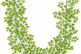 bloom-room-72-spring-maidenhair-garland-spring-garlands-seasons-occasions-1