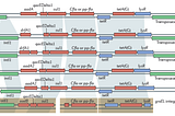 How mobile are antibiotic resistance genes found in the environment?