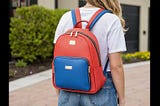Backpack-Purse-1