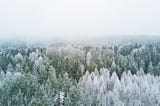 Winter Haiku