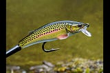 Barbless-Hooks-For-Trout-1