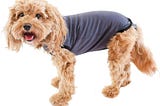 bellyguard-after-surgery-recovery-onesie-post-spay-neuter-body-suit-for-male-and-female-dogs-comfort-1