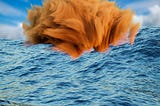 The Startup Vanguard: Shaping the Next AI Wave