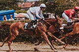 The gallop we called a career