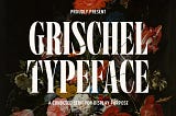 20 Best serif fonts for 2023