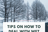 Tips on how to deal with wet cold winters — Issue #85