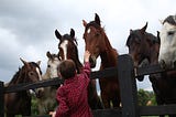 Horses Can Calm Sensory Overload in Autistic Children