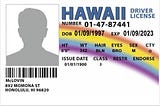 mclovin-drivers-license-custom-with-your-photo-1
