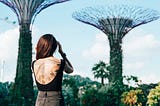 Singapore can stop the haze with sustainable palm oil