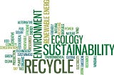 Environmental Sustainability in Design