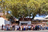 The Fig — The latest chapter