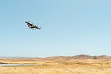 Developing the Chaparral Cargo UAS: A Founder’s Perspective