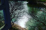 A sun-lit lake seen from a window