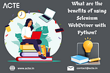 Harnessing the Power of Selenium WebDriver with Python for Web Testing