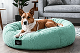 Cool-Dog-Beds-1