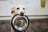 Ingredient Splitting: How Pet Food Brands are Deceiving You
