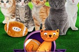 kitten-bowl-4364111-1