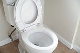 Why was the sit-down toilet invented?