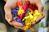 Hands offering flowers to someone.