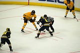 Lights, Noise, Action: The Overkill of Professional Hockey