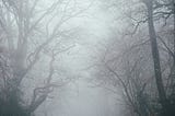 The Fog