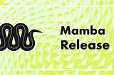 Releasing mamba 1.0